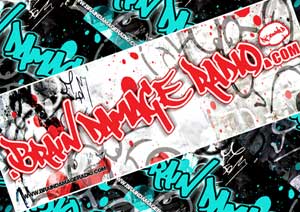 BDR2011-poster-SMALL_EX