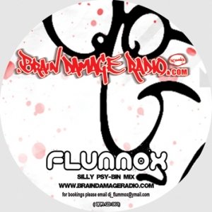 FLUMMOX - THE SILLY PSY BIN MIX 2010